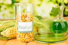 Coston biofuel availability