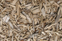 biomass boilers Coston